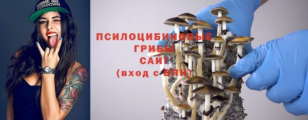 дживик Белокуриха