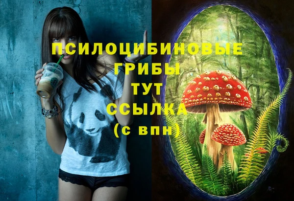 дживик Белокуриха