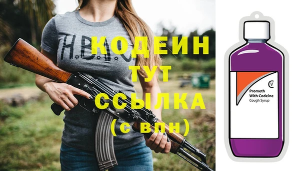 дживик Белокуриха