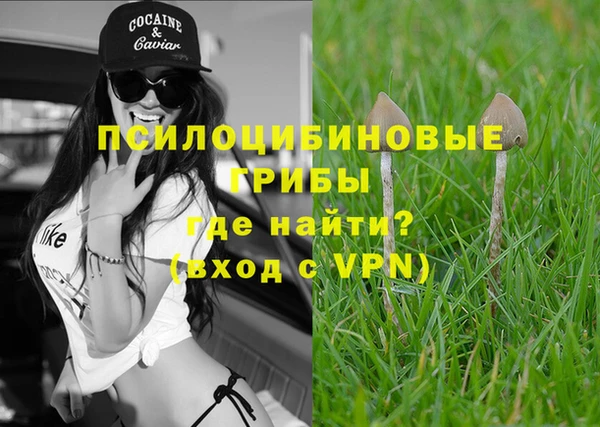 каннабис Богданович